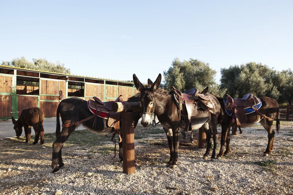 노토 Agriturismo Agrimilo 빌라 외부 사진
