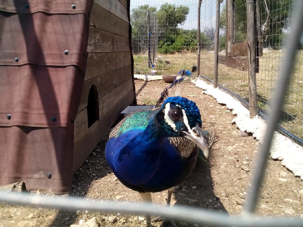 노토 Agriturismo Agrimilo 빌라 외부 사진